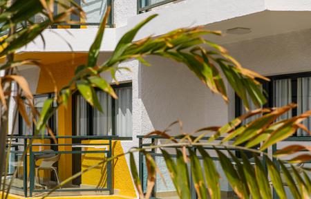 Lejligheder Africana slide 5