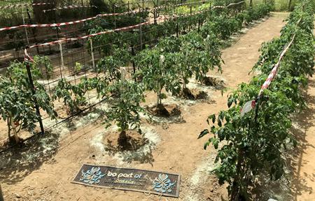 Suites Mon Repo slide 4