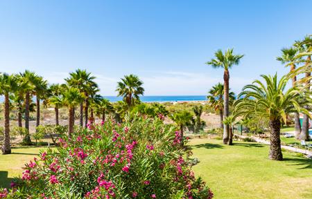 Lejligheder Praia da Lota slide 5