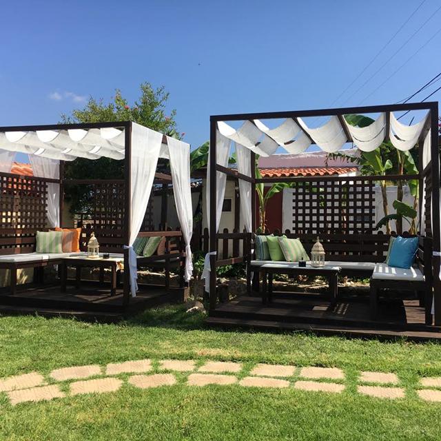 Lejligheder Socrates - billede 2