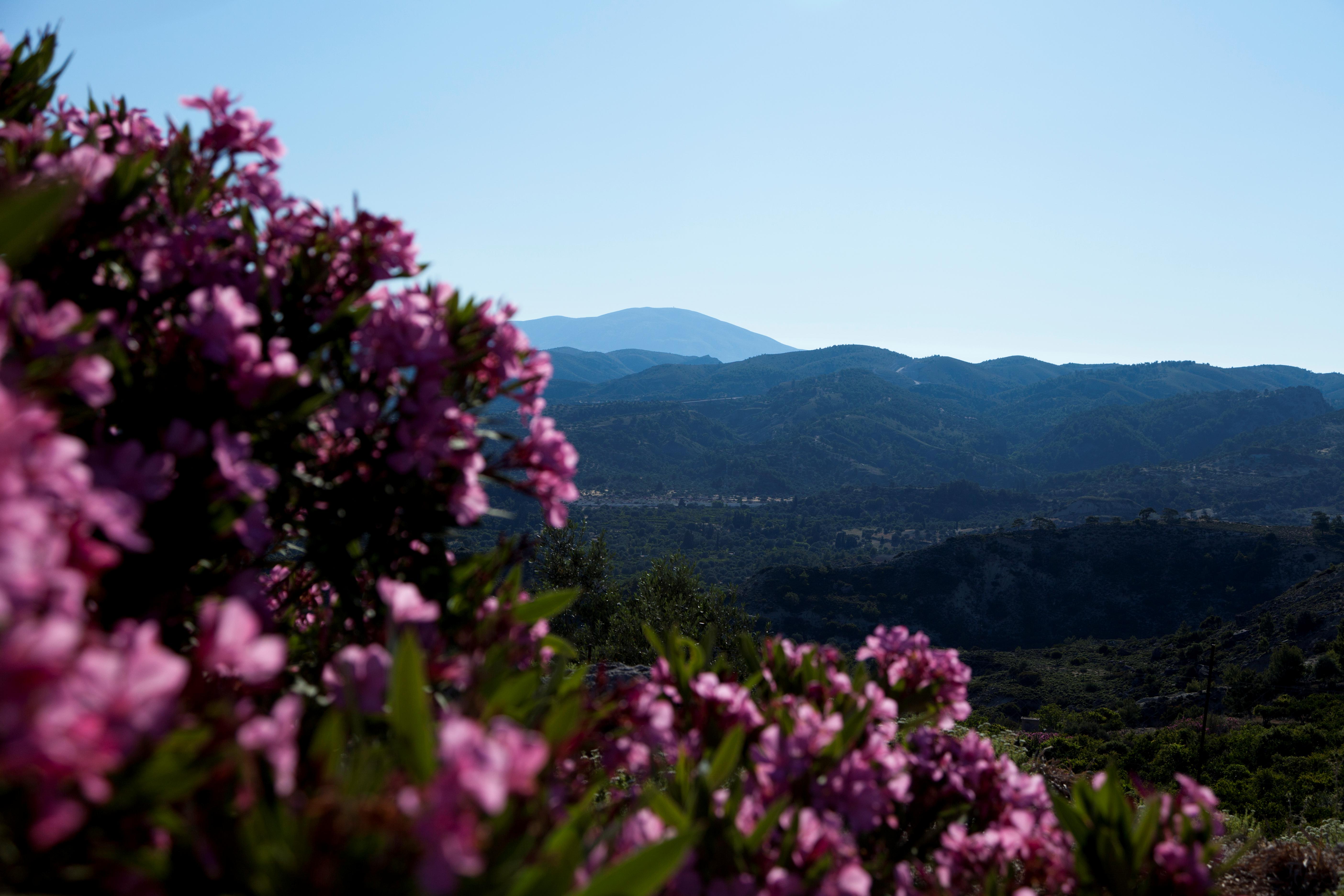 Ialyssos Foto: 5 af 8