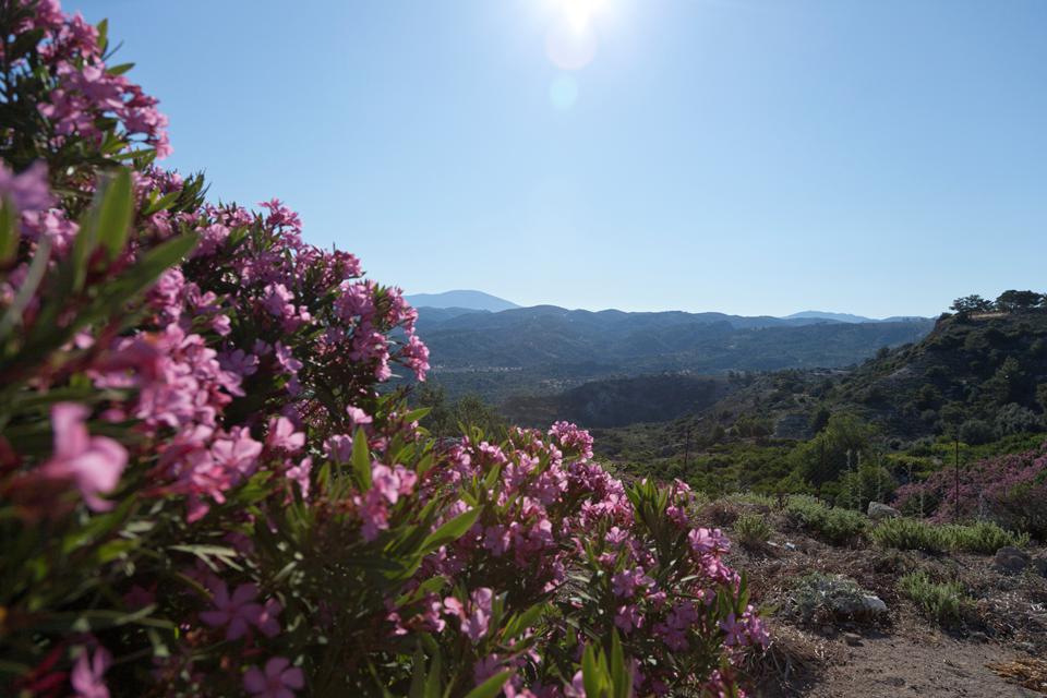 Rhodos Foto: 16 af 22