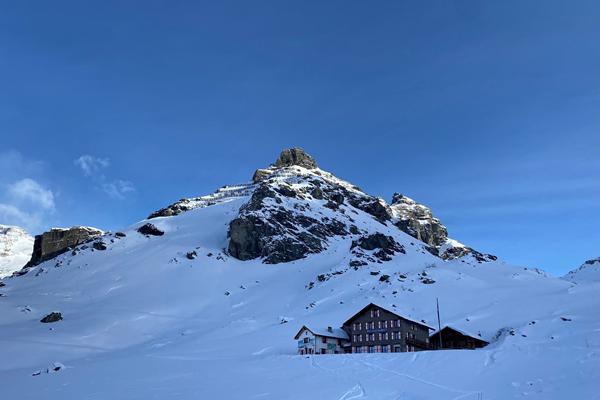 Monterosa