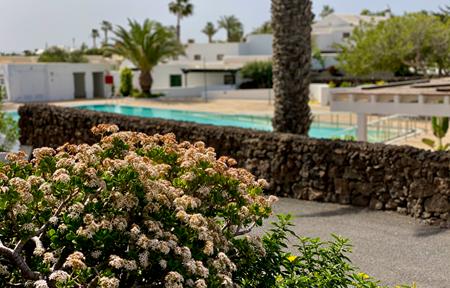 Lejlighedshotel Casas Heddy slide 4