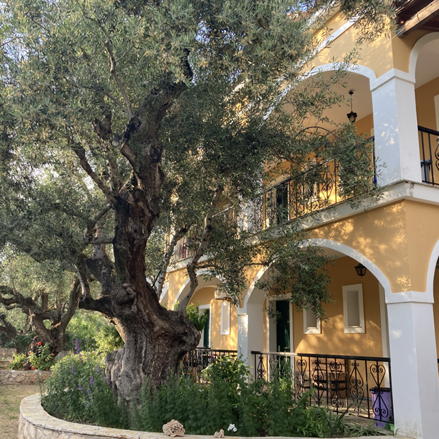 Lejligheder Villa Christina - billede 2