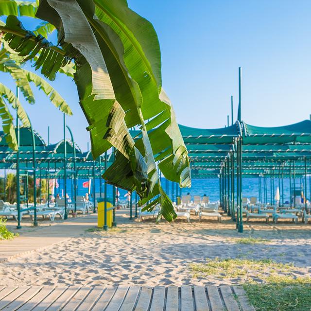 Billede av hotellet Hotel Telatiye Resort - nummer 21 af 26