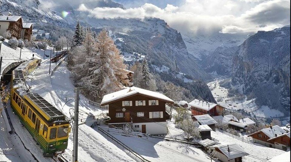 Wengen Foto: 1 af 3