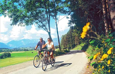 Lejligheder Hammerschmidt  slide 5