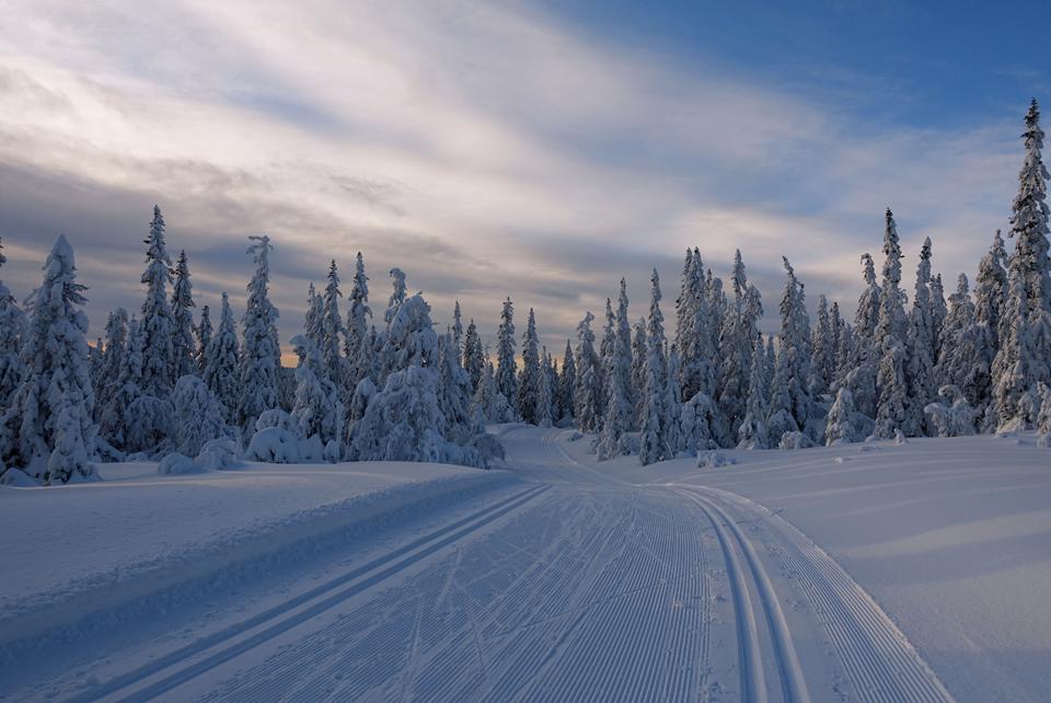 Trysil Foto: 2 af 2