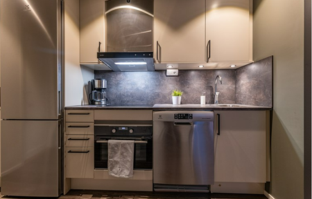 Solbacken Village slide 4