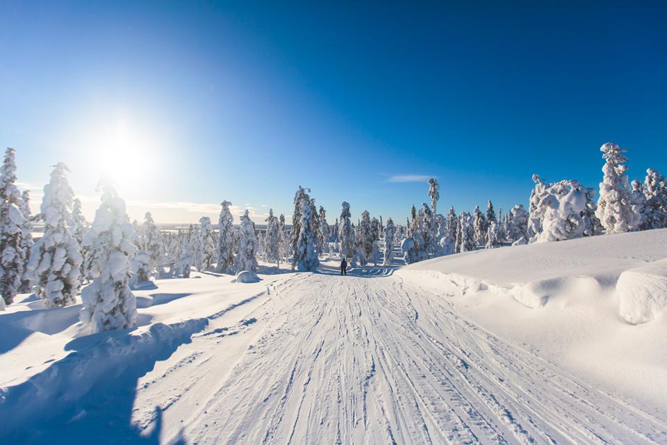 Sälen Foto: 2 af 3