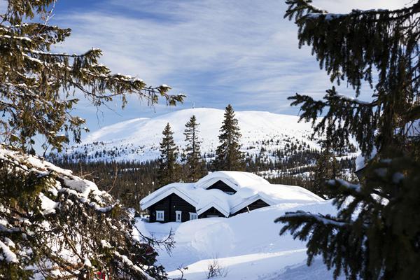 Foto af Trysil