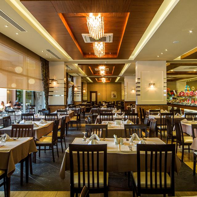 Hotel Dizalya Palm Garden - billede 4