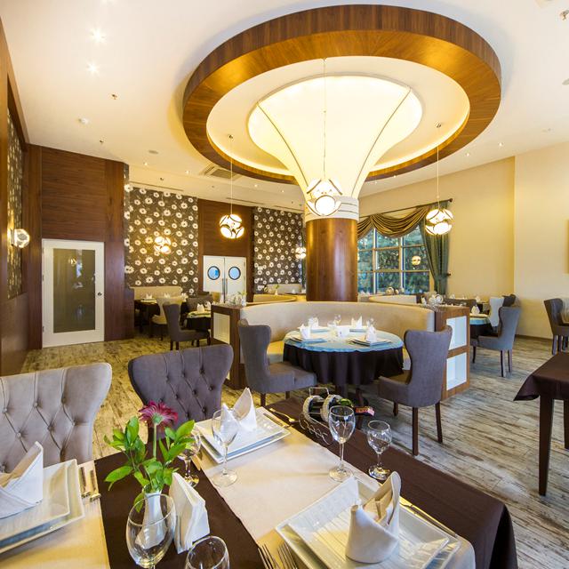 Hotel Dizalya Palm Garden - billede 5