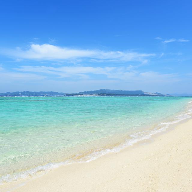 Flamingo Paradise Beach Hotel - Voksenhotel - billede 2