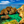 Algarvekysten