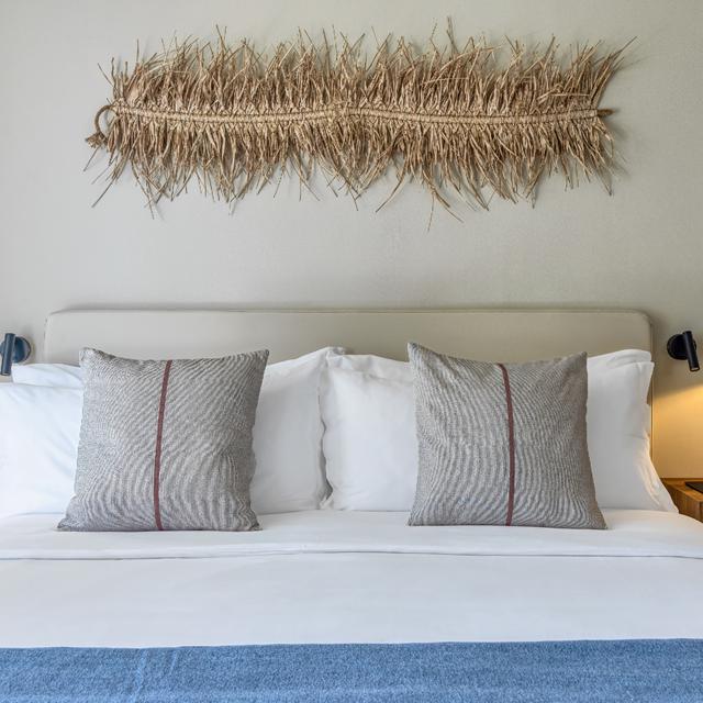 Domes Aulus Zante, Autograph Collection - billede 3