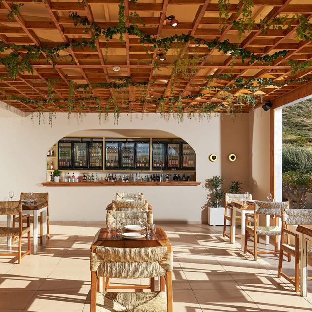 Hotel Vasia Sea Retreat - Voksenhotel - billede 5