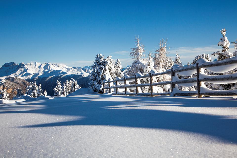 Ville di Fiemme Foto: 7 af 9