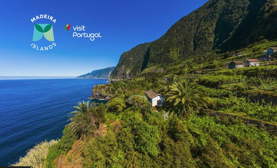 Madeira Foto: 2 af 5