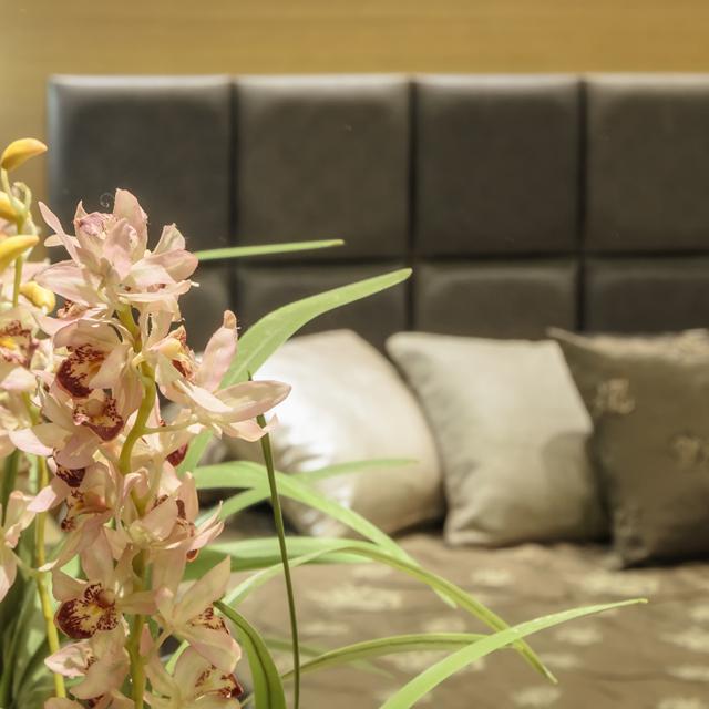 Billede av hotellet Lejligheder Albatros - nummer 11 af 18