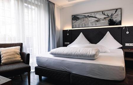 Hotel Alpina slide 2