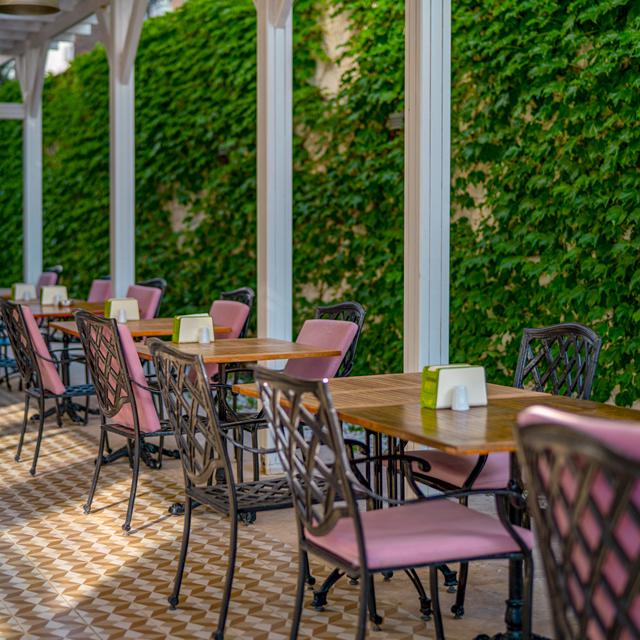 Hotel Begonville Beach - voksenhotel - billede 4