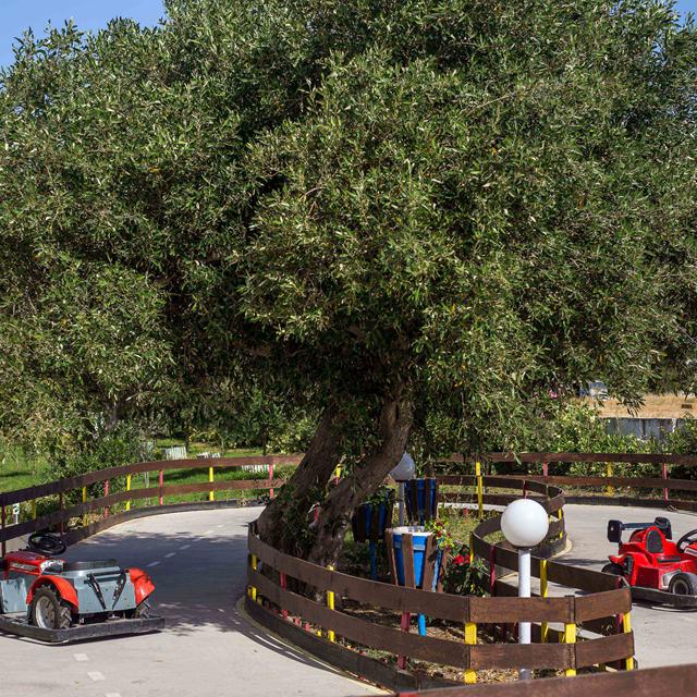 Hotel Niriides - billede 5