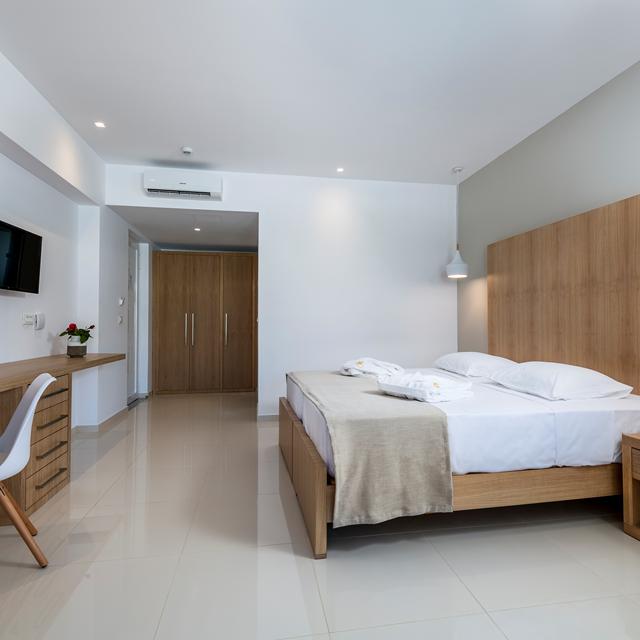 Hotel Gaia Palace - billede 4