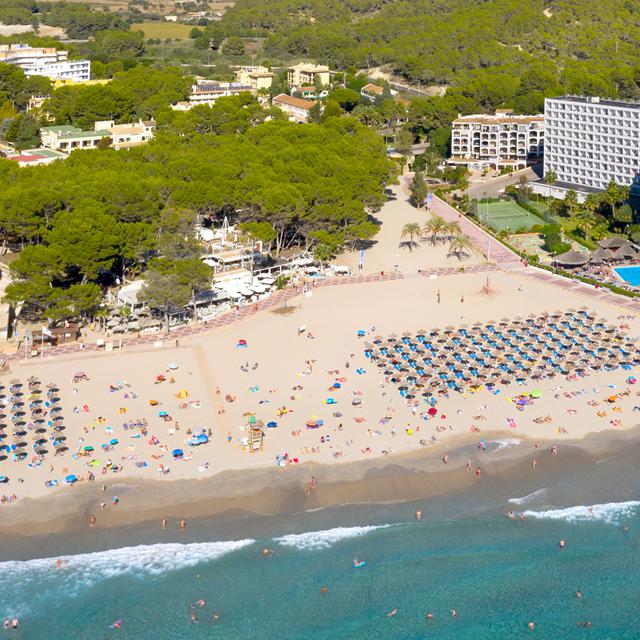 Vibra Beverly Playa – billede 2