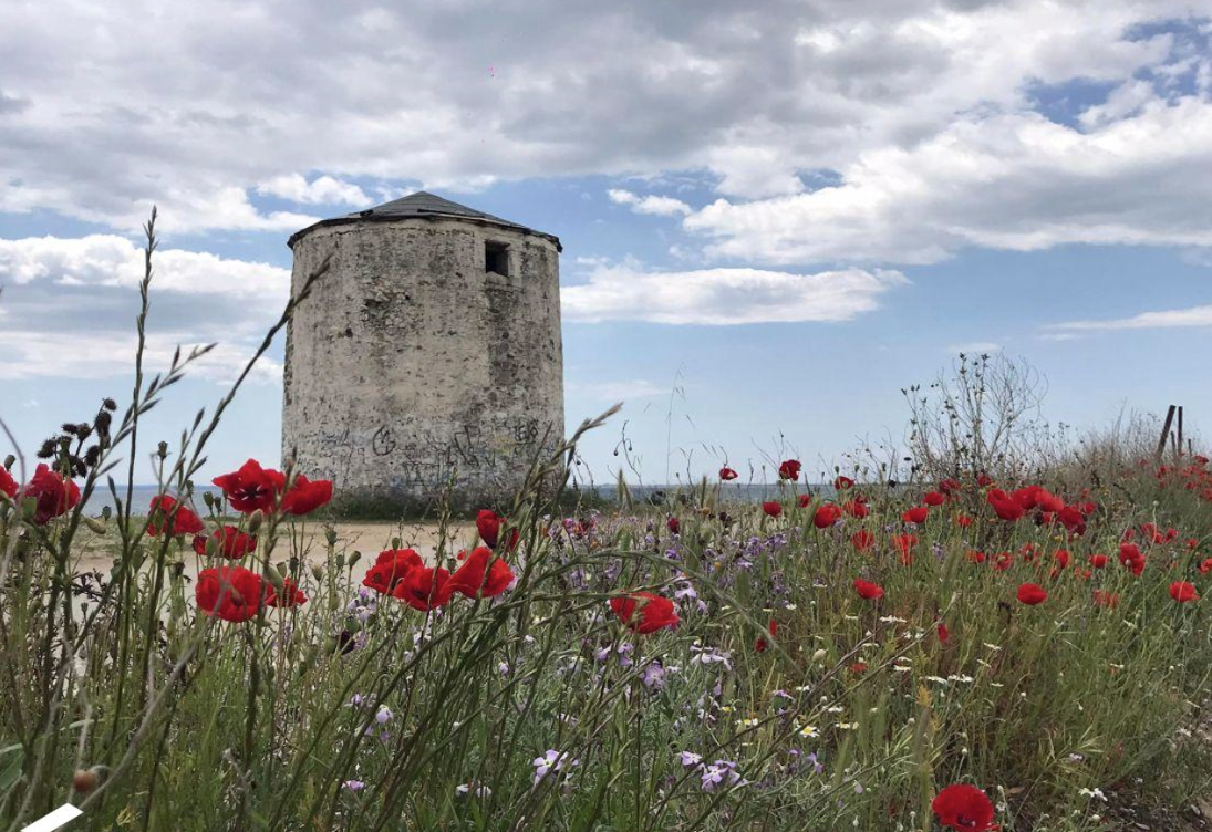 Kalives Foto: 3 af 4