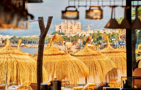 Melia Palma Bay slide 2