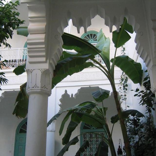 Riad Ifoulki - billede 4