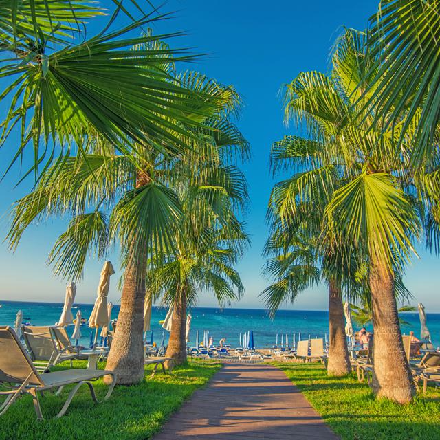 Tsokkos Silver Sands - billede 2