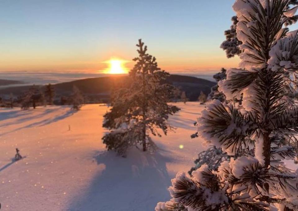 Stöten Foto: 1 af 3