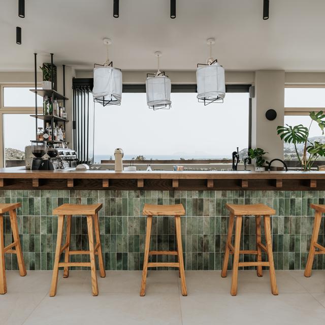 Paralos the Maxine Hotel - voksenhotel - billede 3