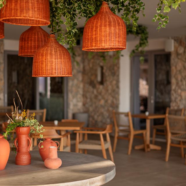 Paralos Kyma Dunes - voksenhotel - billede 5