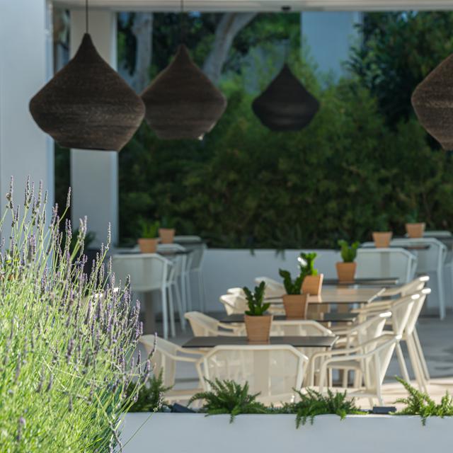 Hotel Bitzaro Grande - billede 5