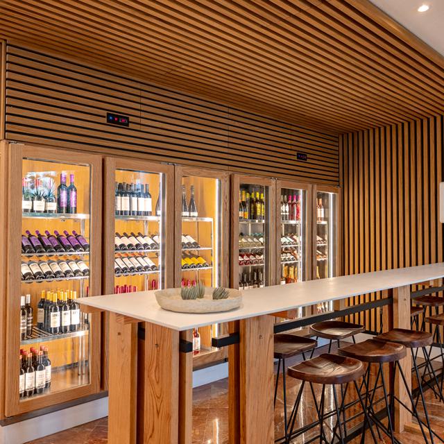 Hotel Landmar Playa la Arena - billede 5