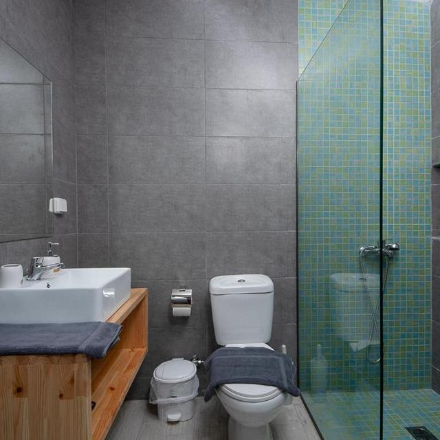 Studios Stegna Beach Premium - billede 6