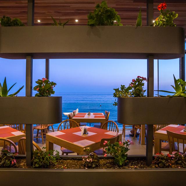 Hotel Petra Mare - billede 5