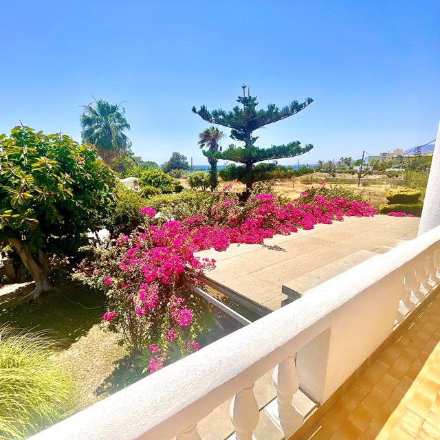 Villas Irene - Sommer 2026 - billede 4