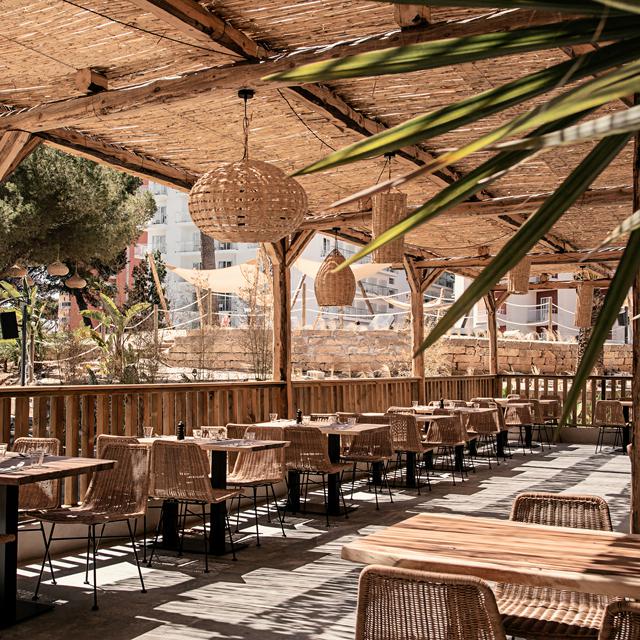 Caramelo Palma Beach - Voksenhotel - billede 3