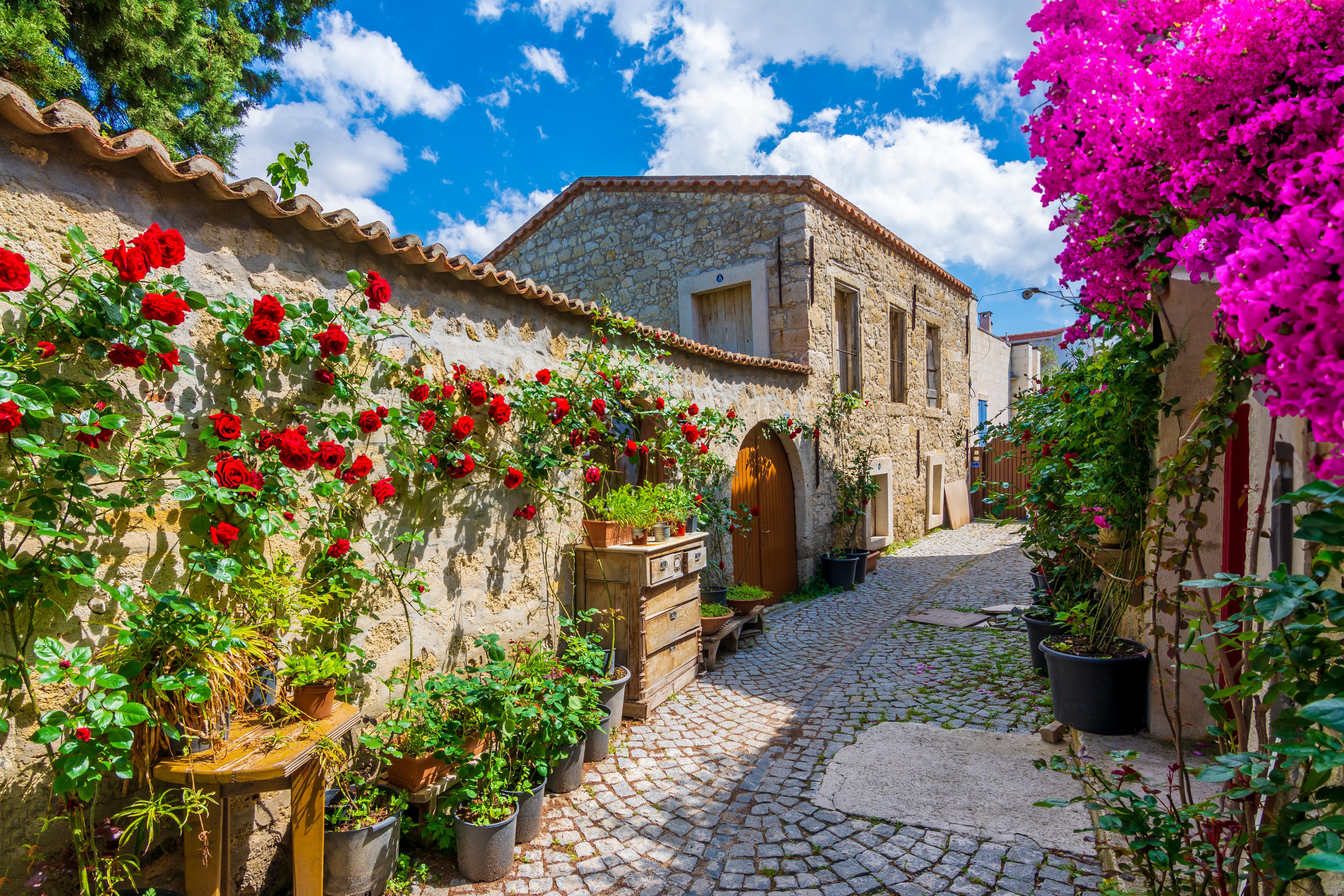 Kusadasi-kysten Foto: 3 af 4