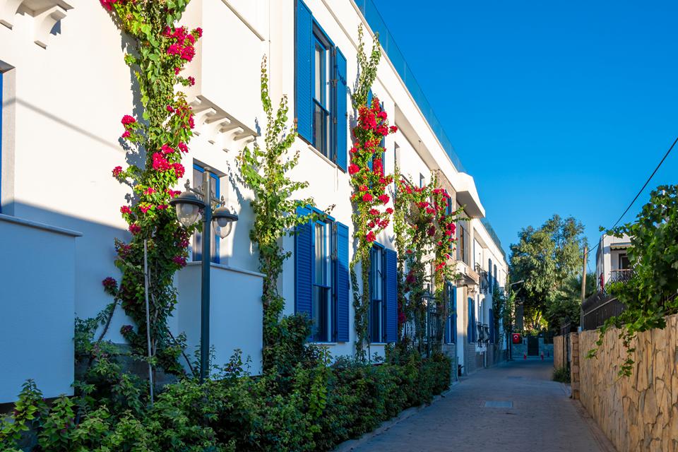 Ortakent Foto: 1 af 4