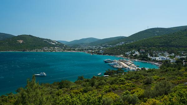 Foto af Torba