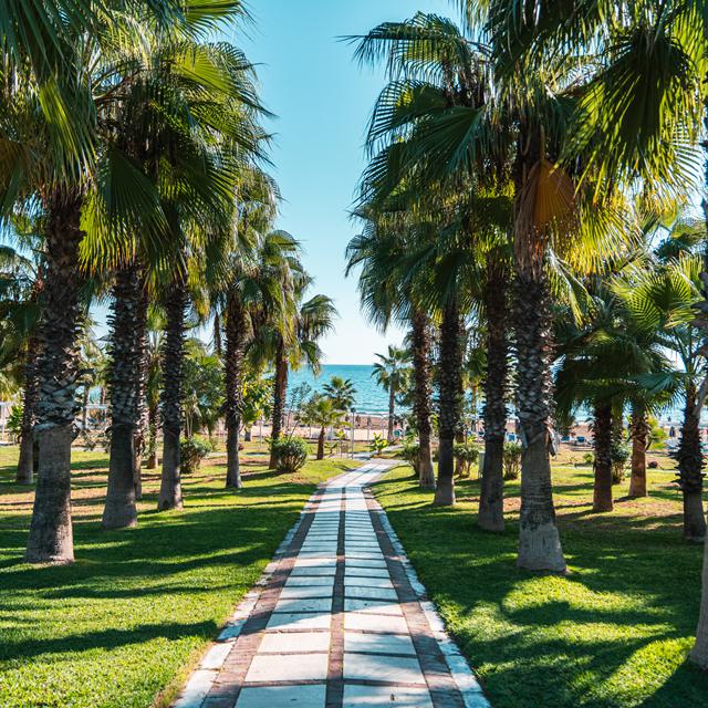 Hotel Sural Resort - billede 2