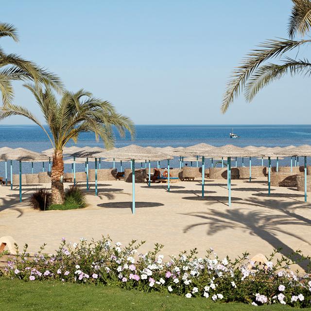 Three Corners Sunny Beach Resort - billede 2