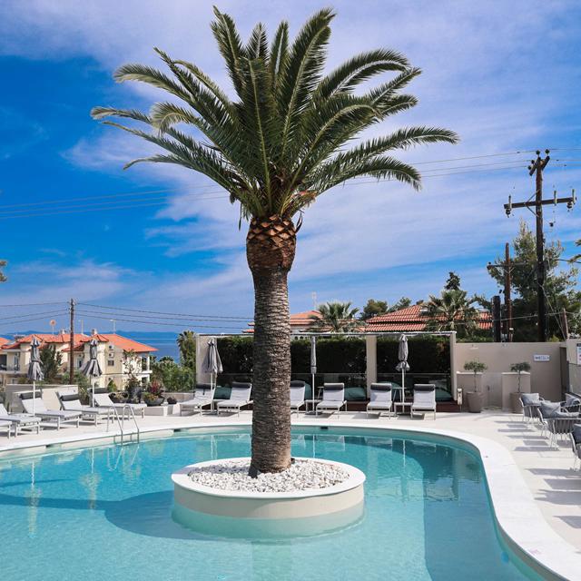 Billede av hotellet Hotel Anna Maria Paradise - nummer 4 af 19