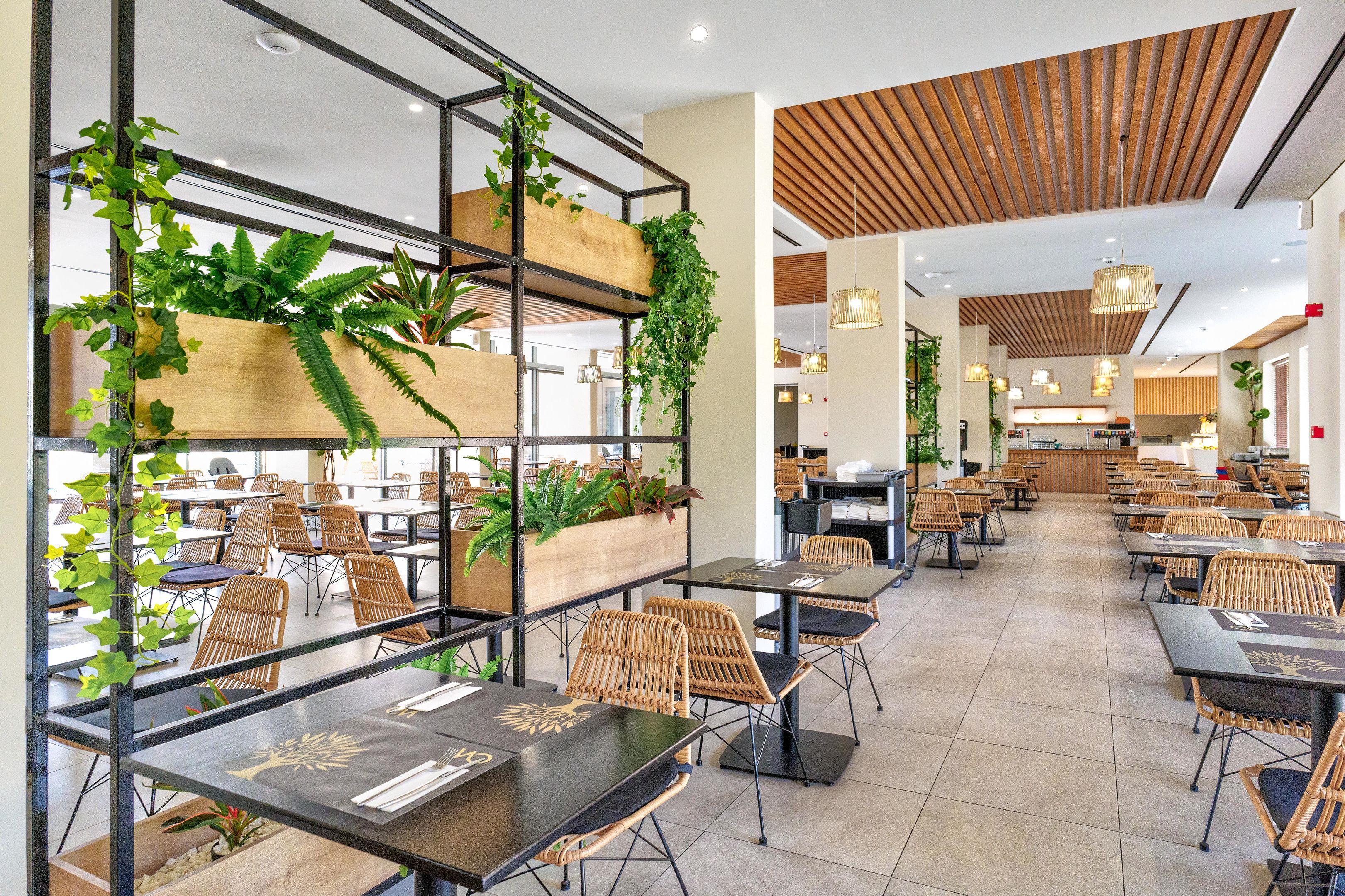 White Olive Elite Laganas slide 5